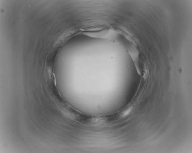 X0000071330117200607141915