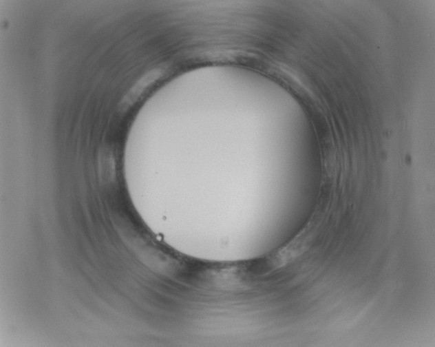 X0000071330120200607141915