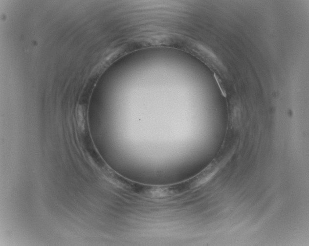 X0000071330121200607141915