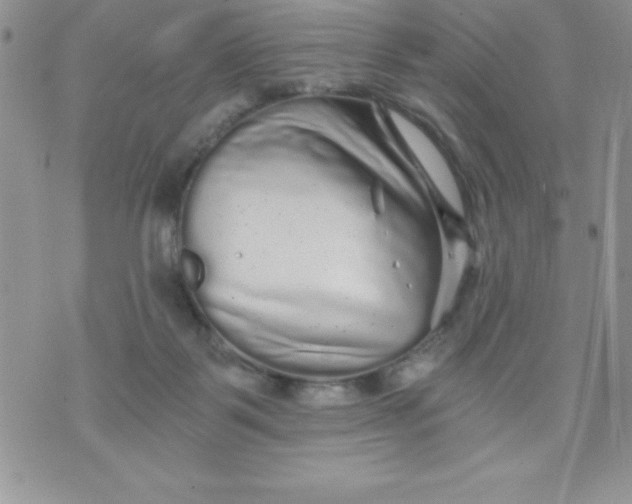 X0000071330123200607141915