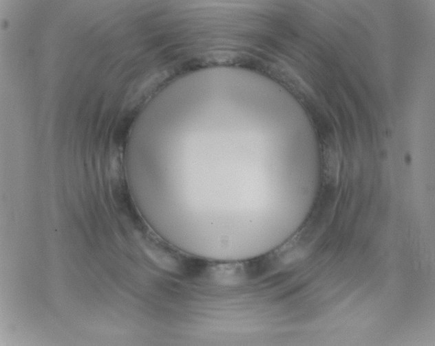 X0000071330126200607141915