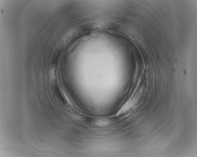 X0000071330127200607141915