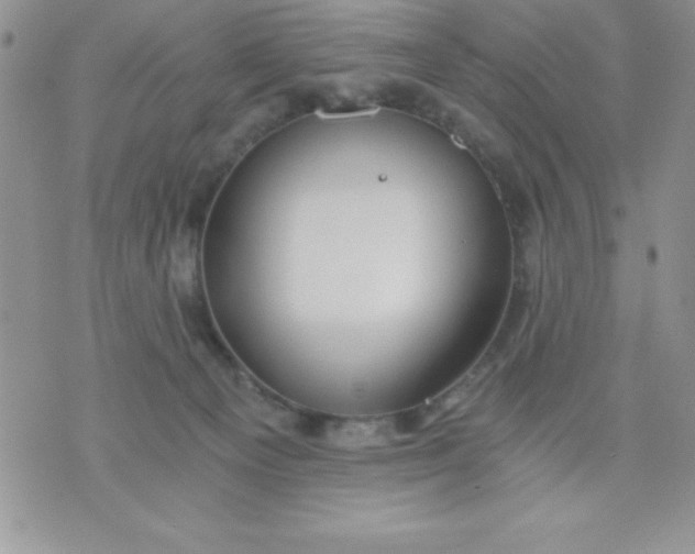 X0000071330129200607141915