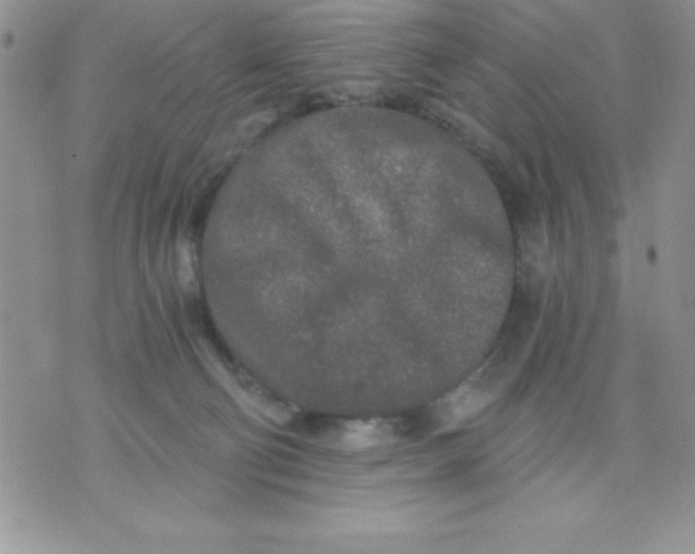 X0000071330130200607141915