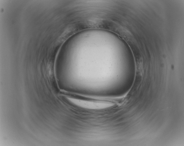 X0000071330131200607141915