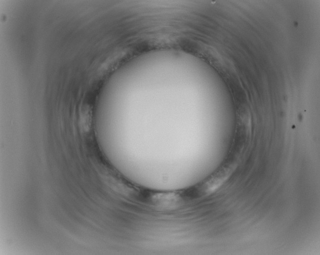 X0000071330133200607141915