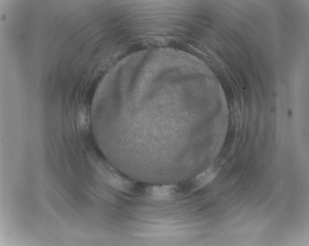 X0000071330134200607141915