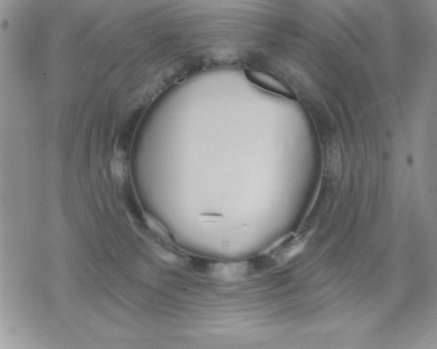 X0000071330135200607141915