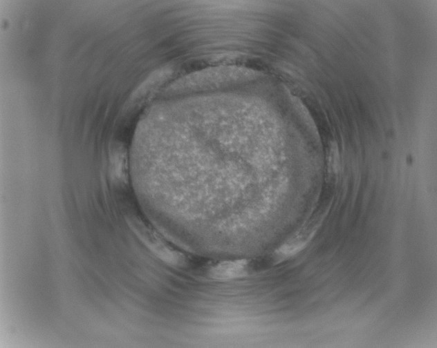 X0000071330138200607141915