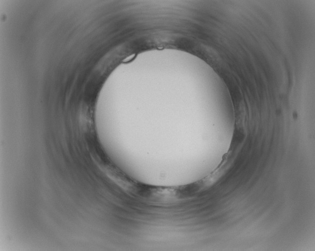 X0000071330140200607141915