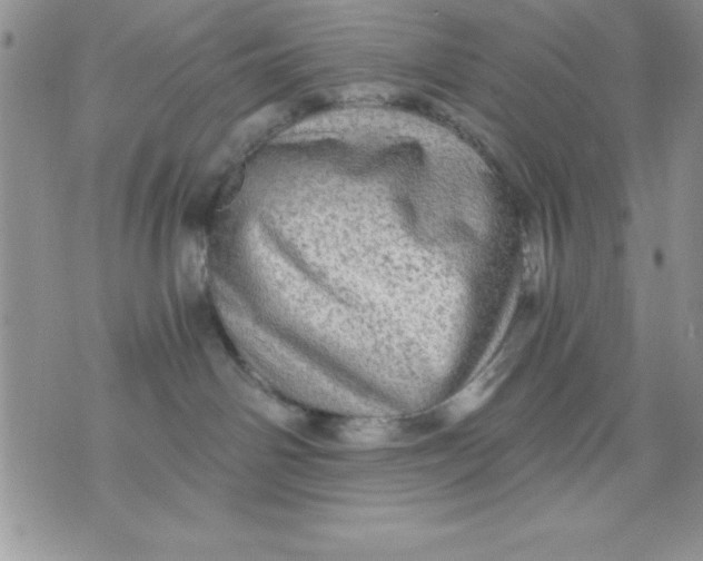 X0000071330142200607141915