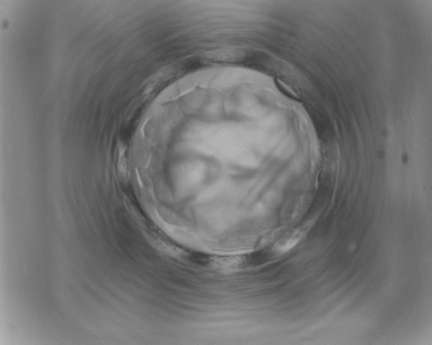 X0000071330143200607141915