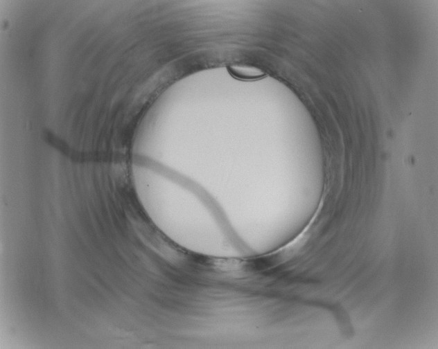 X0000071330144200607141915