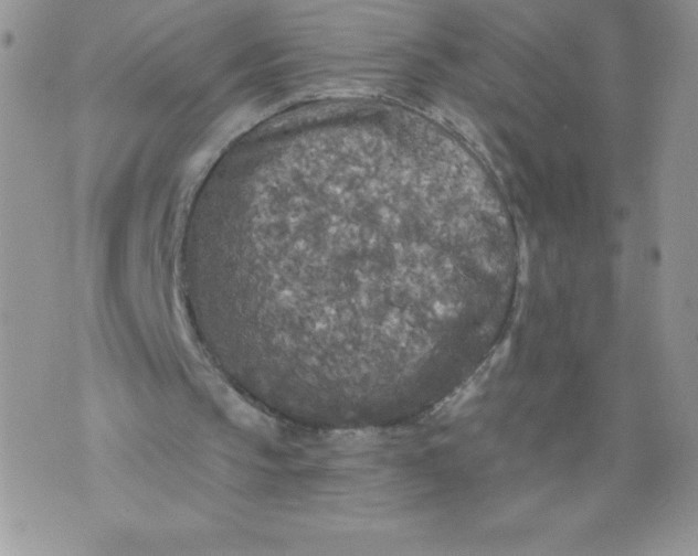 X0000071330145200607141914