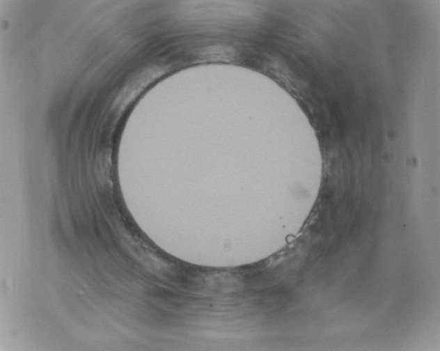 X0000071330146200607141914