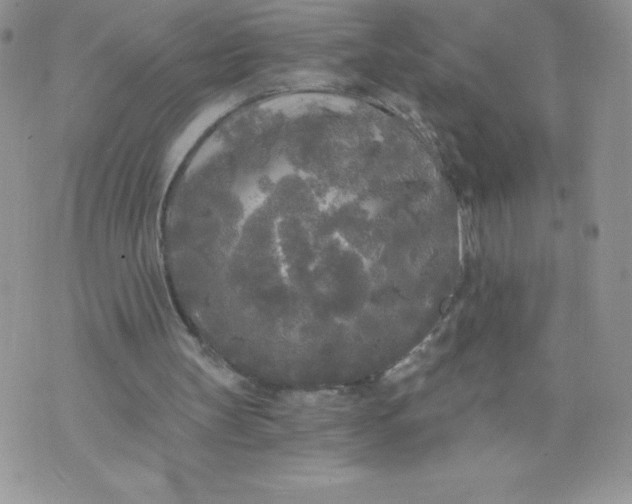 X0000071330147200607141914