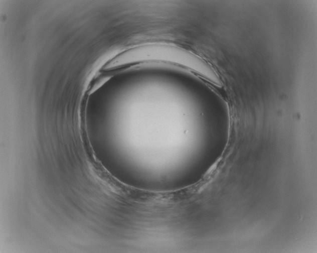 X0000071330148200607141914