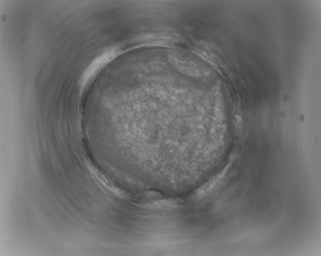 X0000071330149200607141914