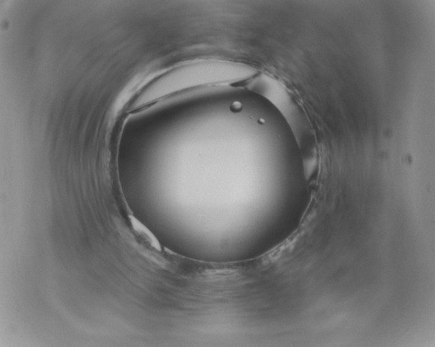 X0000071330150200607141914