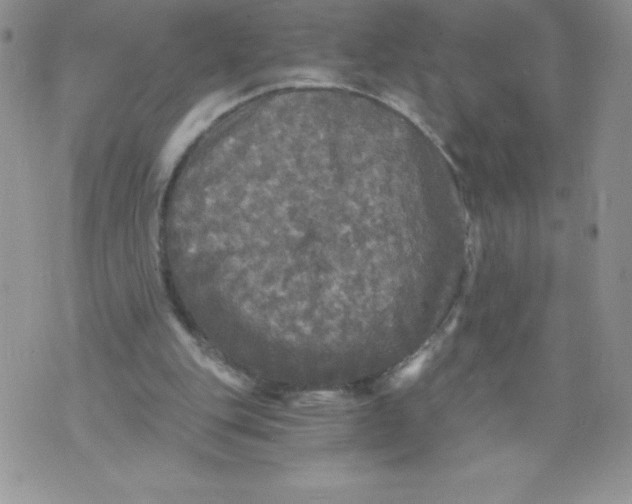 X0000071330151200607141914