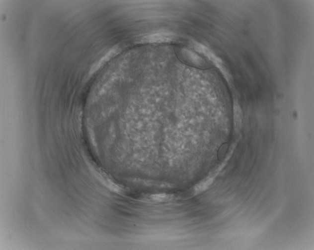 X0000071330153200607141914