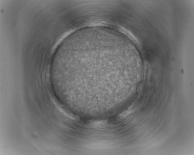 X0000071330155200607141914