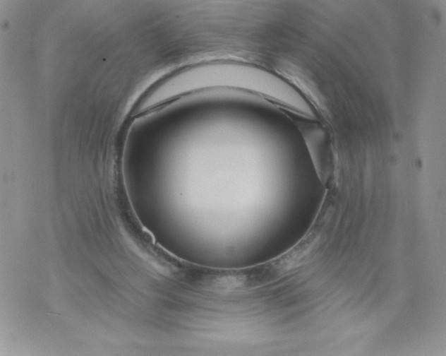 X0000071330156200607141914