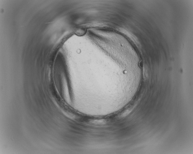 X0000071330157200607141914