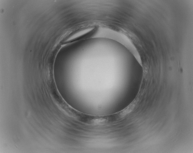 X0000071330158200607141914