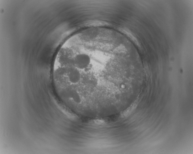 X0000071330159200607141914