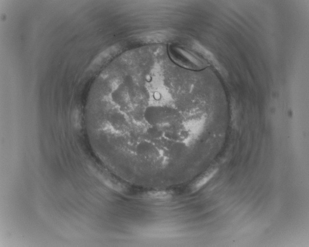 X0000071330161200607141914