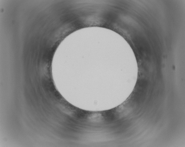 X0000071330162200607141914