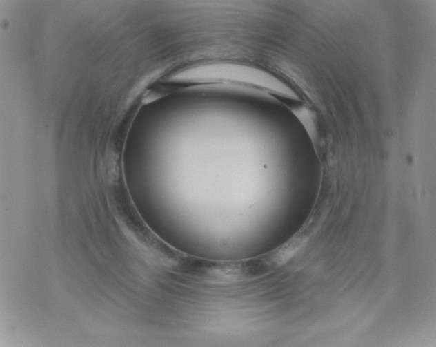 X0000071330164200607141914