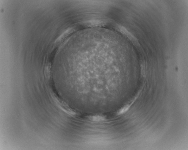 X0000071330165200607141914