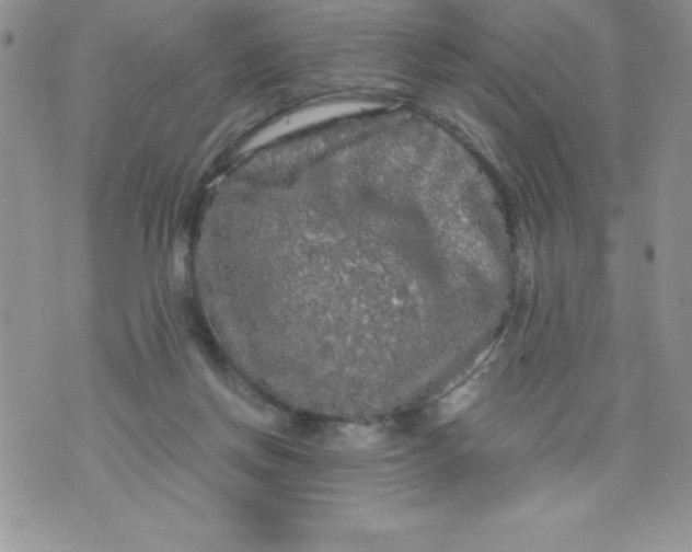 X0000071330166200607141914