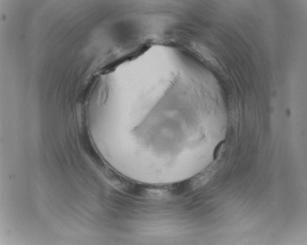 X0000071330167200607141914