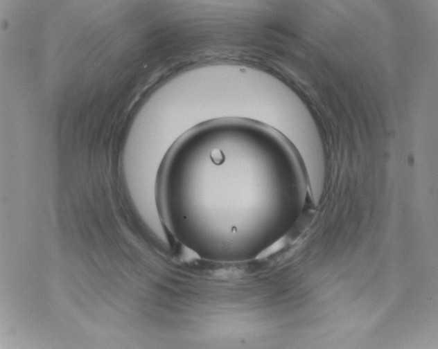 X0000071330168200607141914