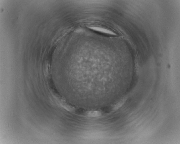 X0000071330169200607141914