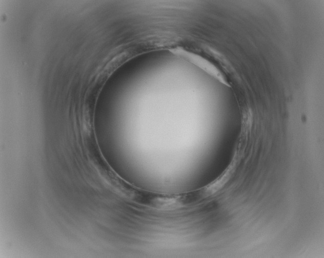 X0000071330170200607141914