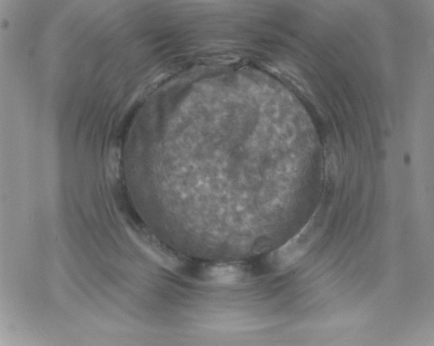 X0000071330171200607141914