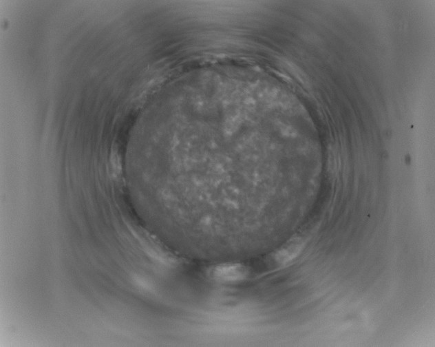 X0000071330173200607141914