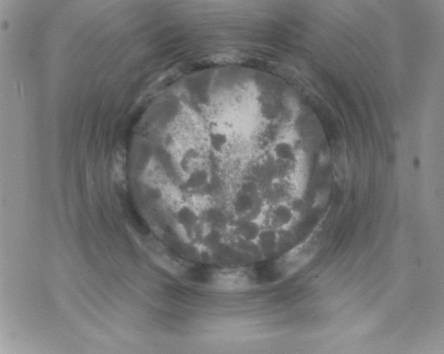 X0000071330175200607141914