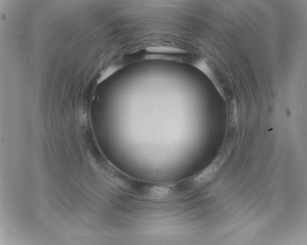 X0000071330176200607141914