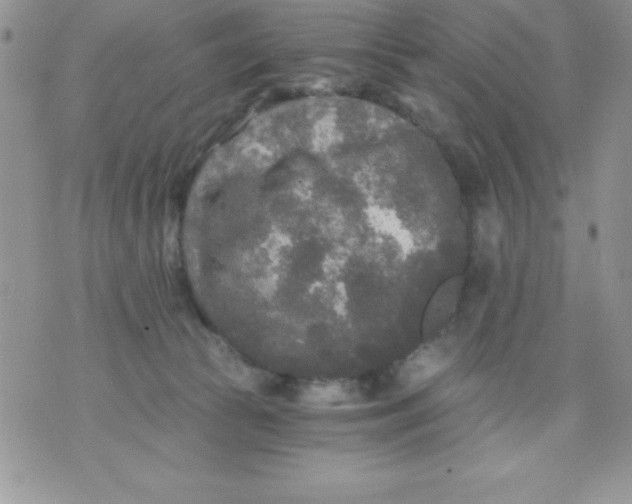 X0000071330177200607141914