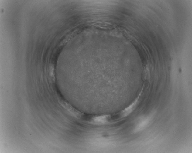 X0000071330178200607141914