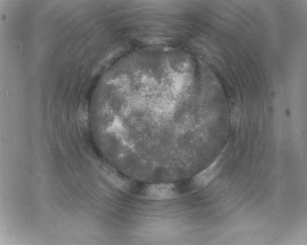 X0000071330179200607141914