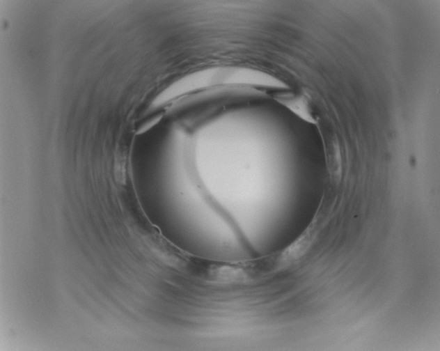 X0000071330180200607141914