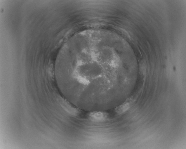 X0000071330181200607141915