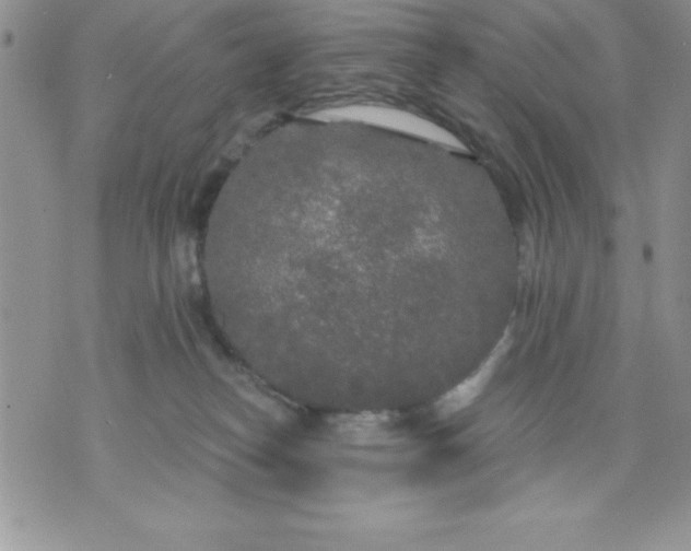 X0000071330182200607141915