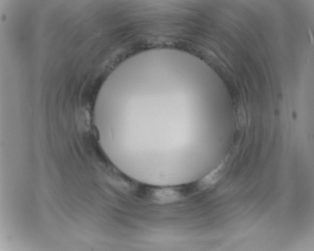 X0000071330183200607141915